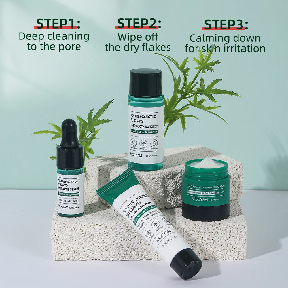 Tea Tree & Salicylic Skincare Kit ·Facial Cleanser, Toner, Serum, Hyaluronic Acid Cream ·Acne Treatment, Pore Control & Hydration ·Face Care Gift Set