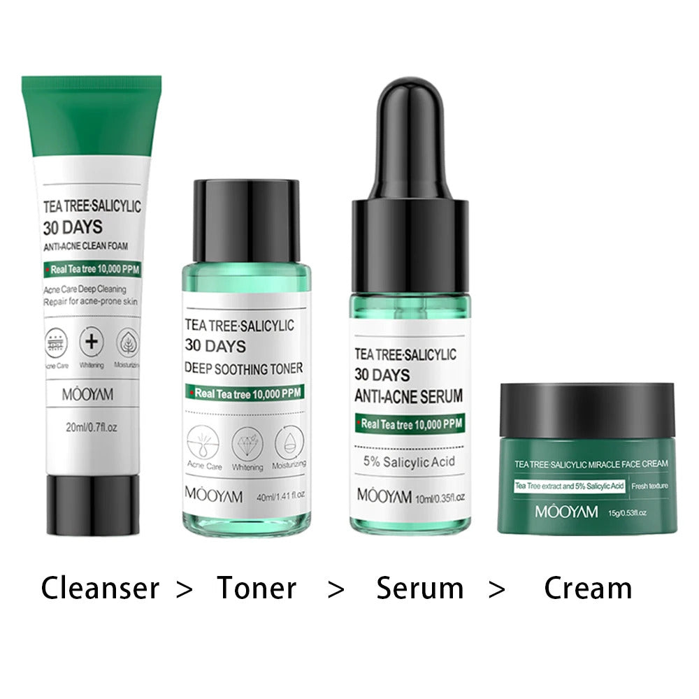 Tea Tree & Salicylic Skincare Kit ·Facial Cleanser, Toner, Serum, Hyaluronic Acid Cream ·Acne Treatment, Pore Control & Hydration ·Face Care Gift Set